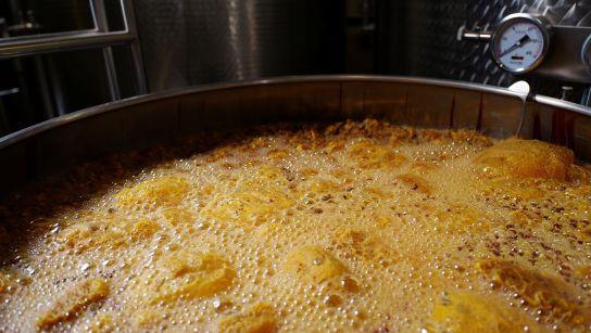 Fermentation