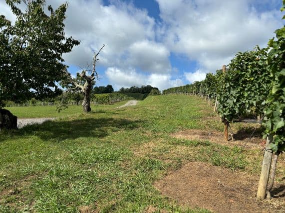 Domaine Cauhapé