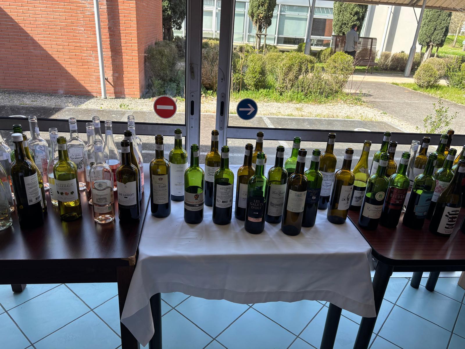 Remise des résultats et exposition des bouteilles médaillées — vue d'ensemble