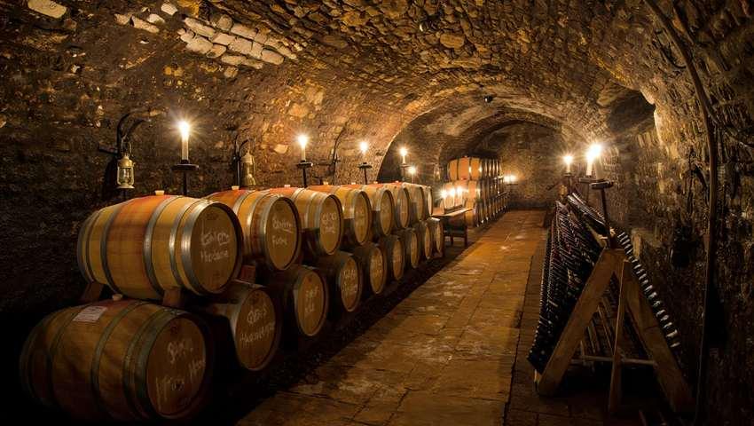 vignerons-rhone-nord